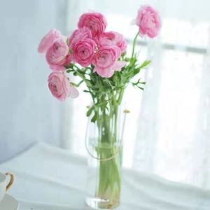 各色洋牡丹鲜花10支生活用花办公室插花婚庆手花