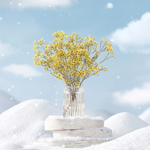 【发48周/包年套餐】包月鲜花年度套餐（年度包月套餐（5-6种花材混搭/次，最少10支）简装颜色随机实物为准）