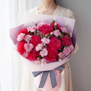 母亲节定制-母亲之花-内含红色单头康乃馨、粉色单头康乃馨双色19支