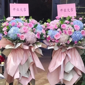 吉祥如意花满门繁花系列花篮（不少于双拼绣球各3支+玫瑰20支+配花配草））