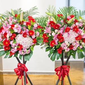 大展宏图繁花系列花篮（不少于1个绣球花，3个粉色百合搭配红粉色系玫瑰/桔梗和扶朗）