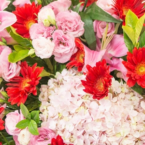 大展宏图繁花系列花篮（不少于1个绣球花，3个粉色百合搭配红粉色系玫瑰/桔梗和扶朗）
