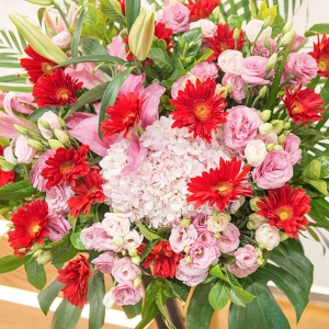 大展宏图繁花系列花篮（不少于1个绣球花，3个粉色百合搭配红粉色系玫瑰/桔梗和扶朗）