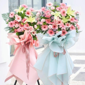 开业大吉红红火火-扶朗B款花篮（扶朗+百合+散叶配草）