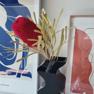 南非佛塔班克木可做干花原色/粉色/红色