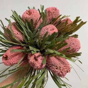 南非佛塔班克木可做干花原色/粉色/红色