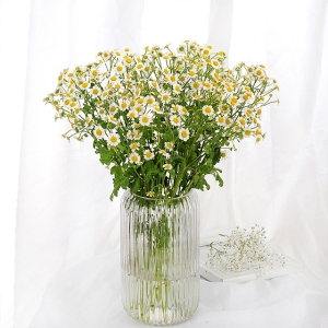 洋甘菊鲜花花束水养小雏菊20