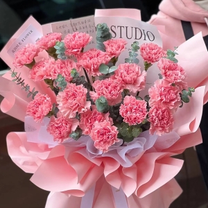 母亲之花-康乃馨简易花礼