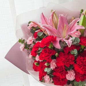 祝您百事合意-双拼康乃馨百合花礼