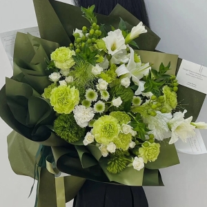 祝您百事合意-双拼康乃馨百合花礼