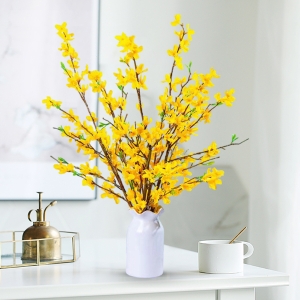 年宵花连翘寸寸金遇水开花水培木本花卉