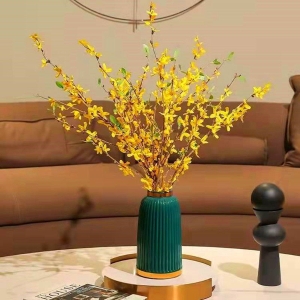 年宵花连翘寸寸金遇水开花水培木本花卉