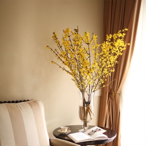 年宵花连翘寸寸金遇水开花水培木本花卉