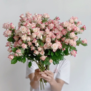 多头玫瑰混色随机/单色随机5支
