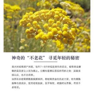法国玖玖蜡菊烟酰胺补水修护抗皱紧致提亮护肤保湿面膜50片/礼盒装