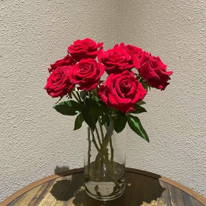 红玫瑰花10支/20支/30支配情人草/黄莺（简包）以收到实物为准