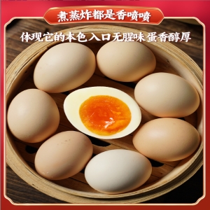 山林散养湘黄鸡认养计划